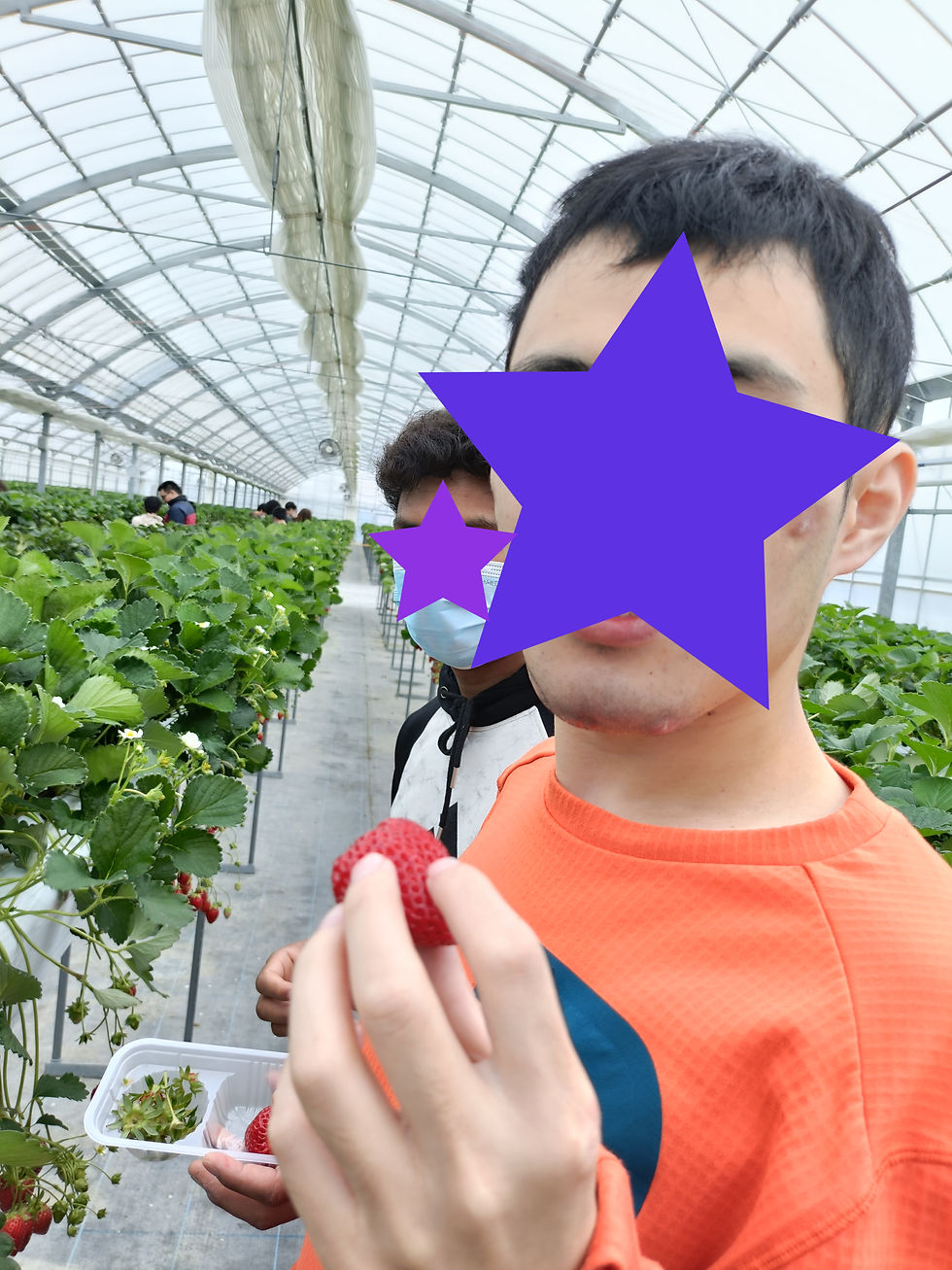 赤いいちごいただきすょ🍓