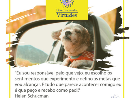 Lista de desejos
