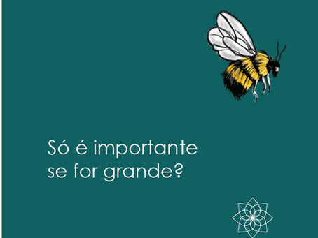 Só é importante se for grande?