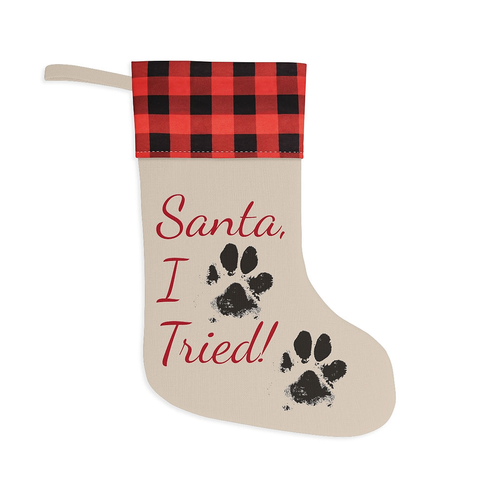 Thumbnail: Christmas Stocking Dog Santa I Tried