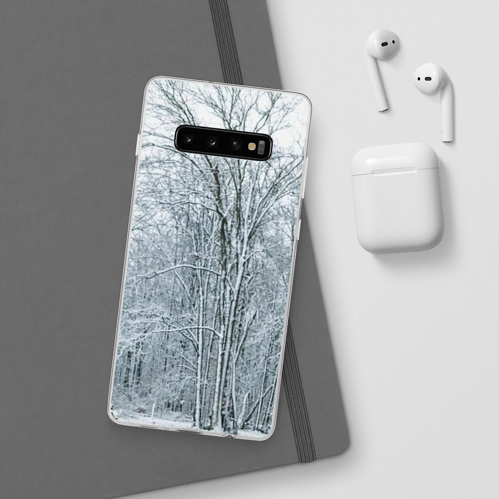 Thumbnail: Flexi Cases Winters Day
