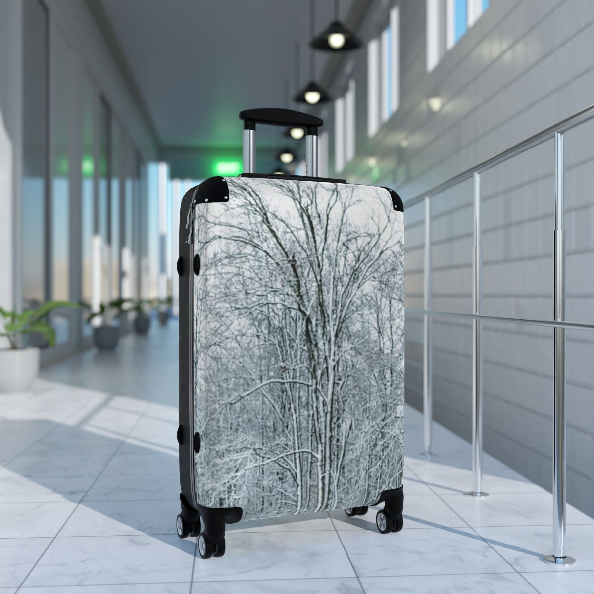 Suitcases On a Winters Day