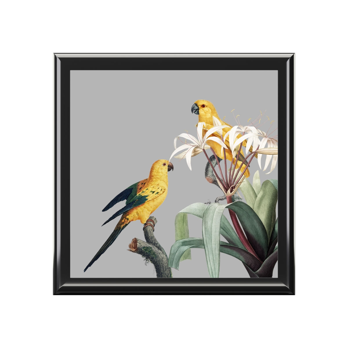 Parrots of two Jewelry Box