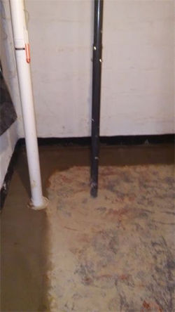 0_0_0_0_345_613_csupload_68481434