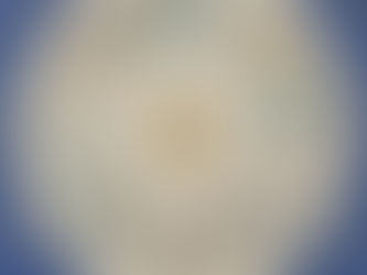 Astrology Girls Might Be onto Something...