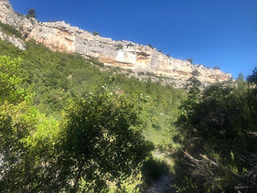 paysage16.jpg