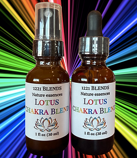 Remove background project (11).PNG