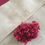 Thumbnail: Moroccan Handwoven Pom Pom Blanket ( PB058)