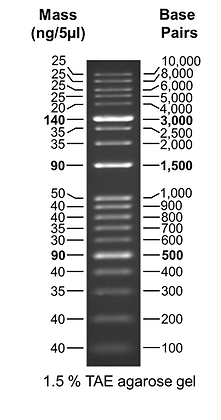 kanpro research