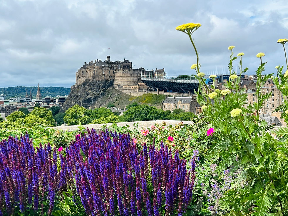 Rooftop Terrace at the National Museum of Scotland