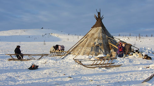 LATITUD NOMADA YAMALIA NENETS.jpg