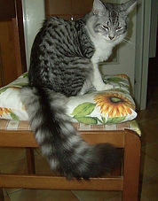 paquita_2anni