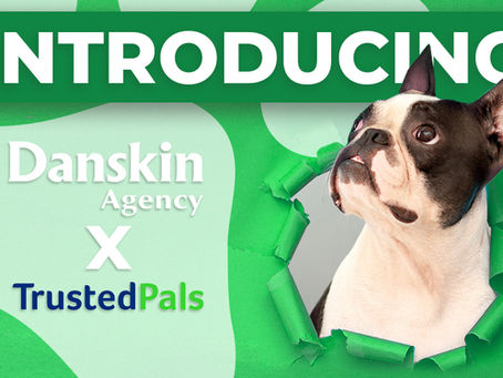 Introducing Danskin x TrustedPals Pet Insurance