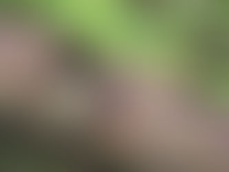 Fra gammelt til nytt: Utviklingen av vann- og avløpsrør i norske hjem.