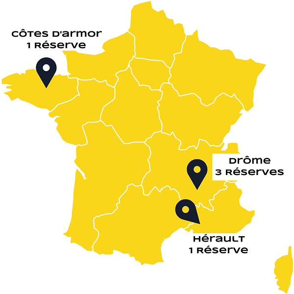 WIX (4).png