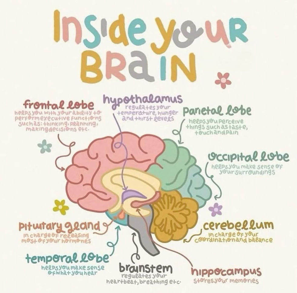 Exploring the labyrinth of my own brain: a colorful journey through thoughts, memories, and moments of introspection.