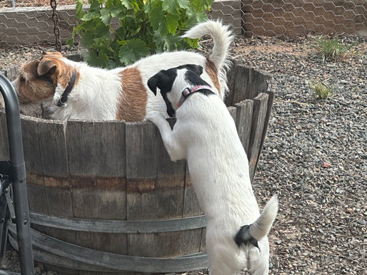 Meet the Two Jacks Behind Our Wine