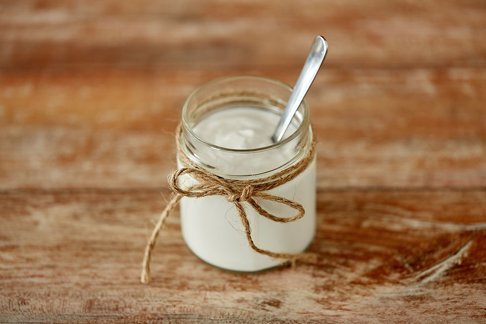 Fermenting L. Reuteri Yogurt at Home: The Simple Gut-Healing Secret I Swear By
