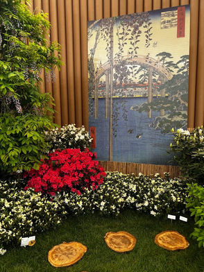 Arenzano sulla via del Giappone e Rensen Comics