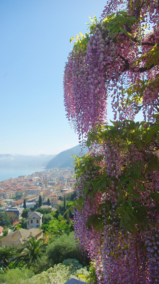 Villa della Pergola Alassio