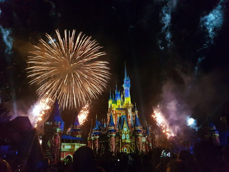 Disney International Program: application e colloquio Skype