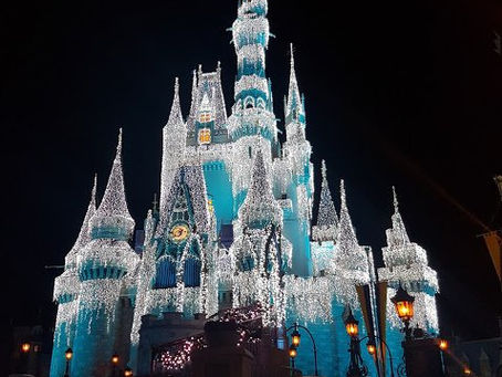 Disney International Program: Cultural Representative