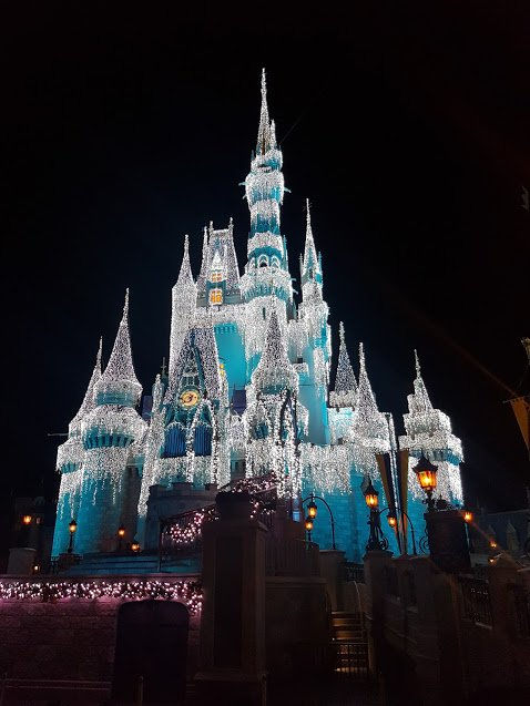 Disney International Program: Cultural Representative