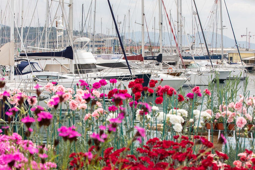 Yacht&Garden 2026