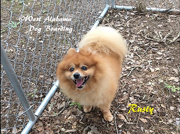 TextPicture20170605_0201.jpeg