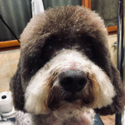 86932316_2811060892319708_41653563928713