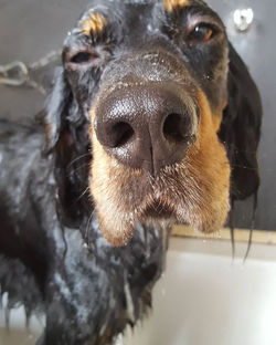 74788026_2550236838402116_39378198488468