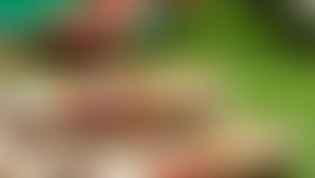 Montiqueijo lança um cesto com três queijos para apoiar a Seleção Nacional