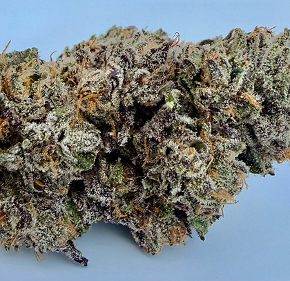 purple gumbo.jpg