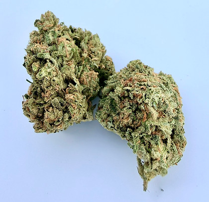 Santa-Cruz-Blue-Dream.jpg