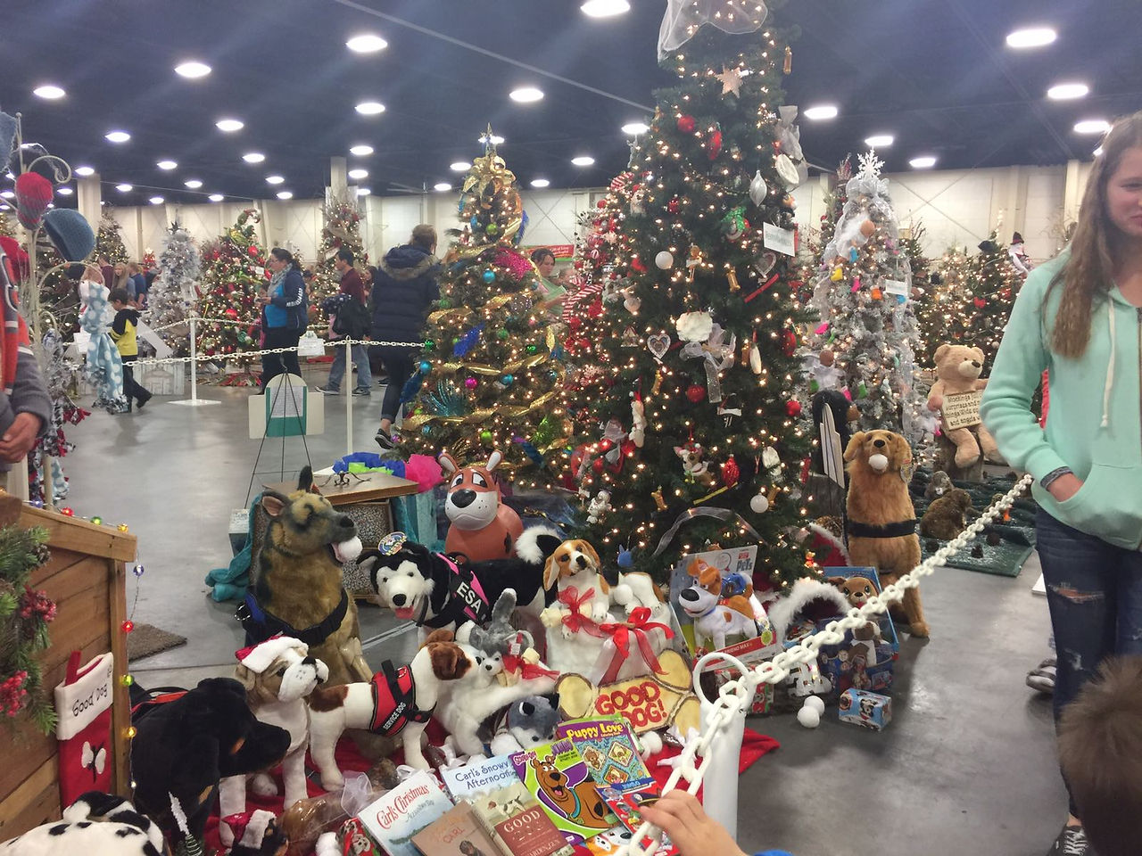 IMG-20161210-WA0067