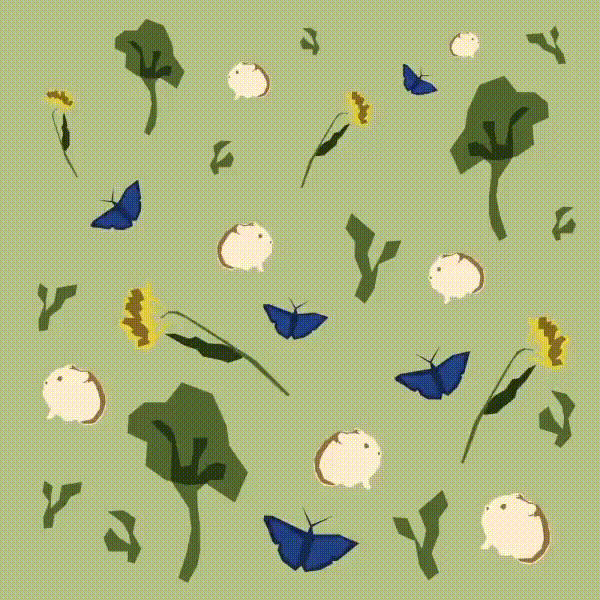 SpeciesRangeLoss_square_opt.gif