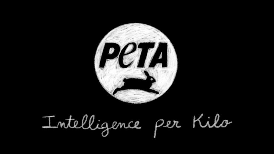 PETA WIP.png