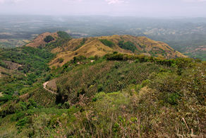 Cerro Tinajitas: a spectacular view at the Golf of Nicoya
