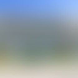 ***Sands Resort 201 74th Ave N #2933***