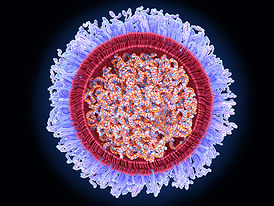 CytoGene_Lucknow