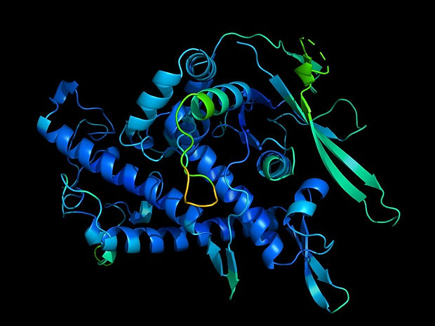 Protein_Cytogene.jpeg