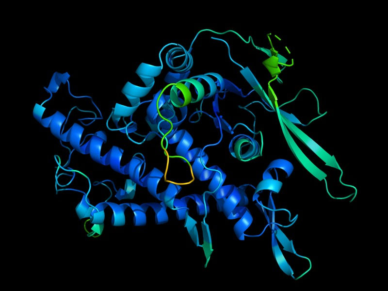Protein_Cytogene.jpeg