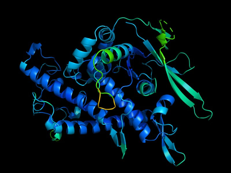 Protein_Cytogene.jpeg