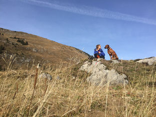 I Never Set Out to Train Dogs