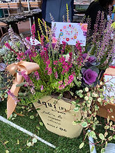 IMG_6542.jpeg