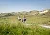 05_duinen_fietsers.jpg