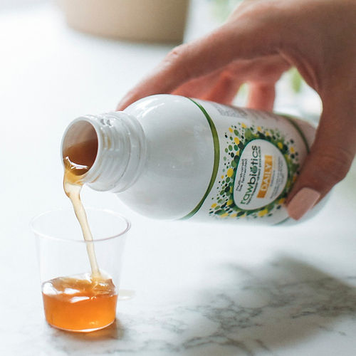 Rawbiotics Gut 500ml