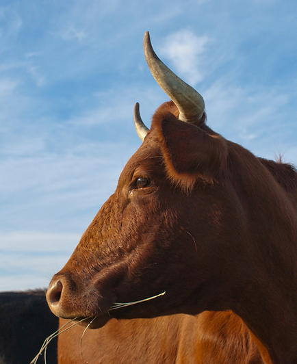 _BAS_Instagram (3).png