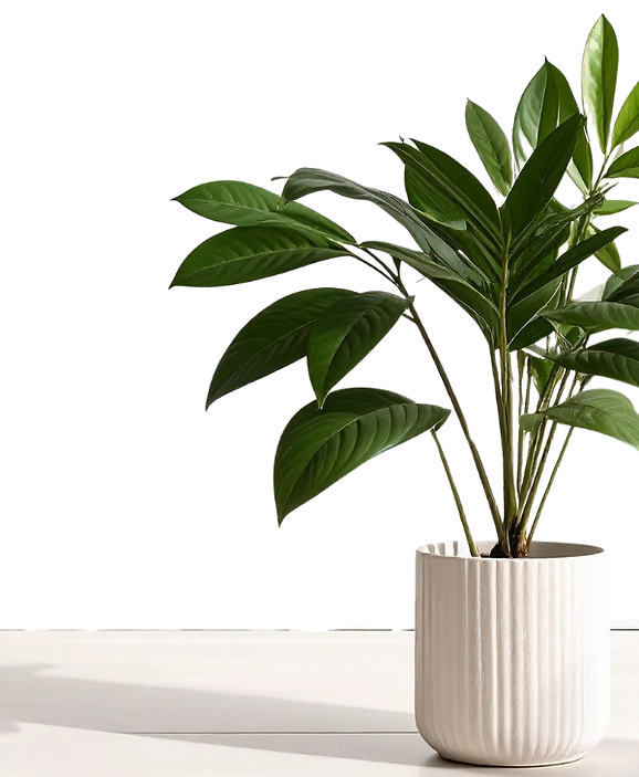 inspired wellness Website Images (600 x 800 px).png