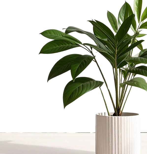 inspired wellness Website Images (600 x 800 px).png